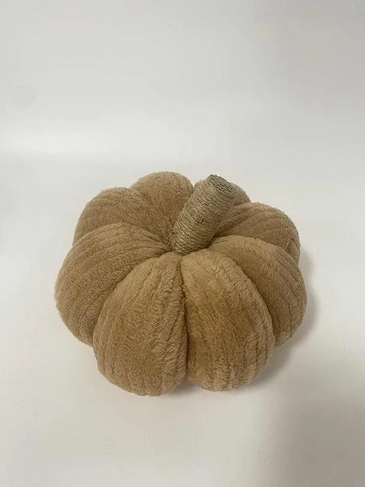 Dynia welurowa XY7A818-23, rozm. 18x16