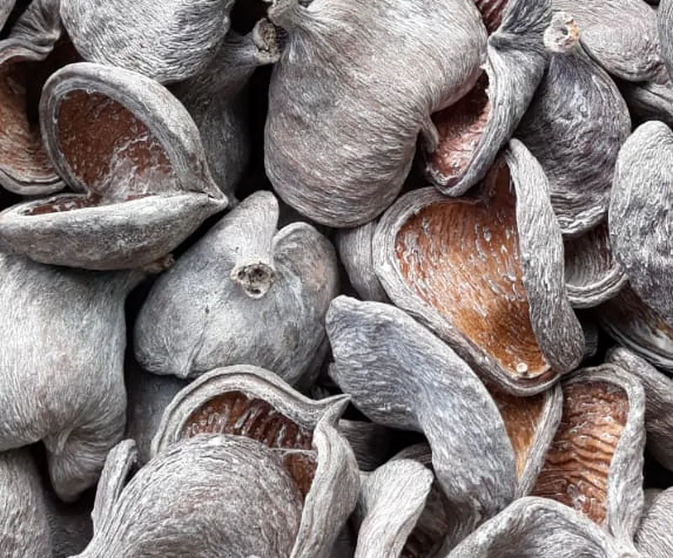 Badam nut frosted white